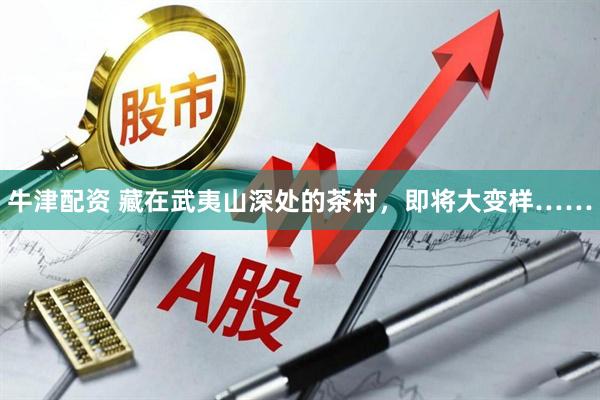 牛津配资 藏在武夷山深处的茶村，即将大变样……