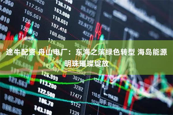 途牛配资 舟山电厂：东海之滨绿色转型 海岛能源明珠璀璨绽放