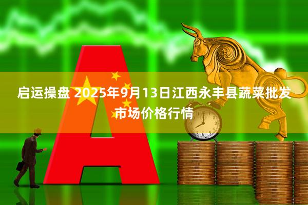 启运操盘 2025年9月13日江西永丰县蔬菜批发市场价格行情