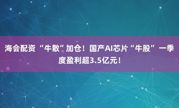 海会配资 “牛散”加仓！国产AI芯片“牛股” 一季度盈利超3.5亿元！