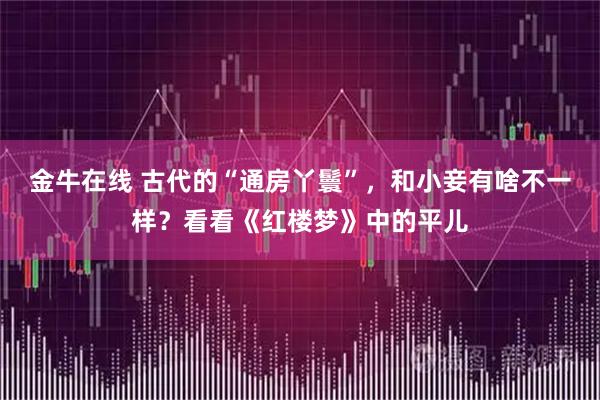 金牛在线 古代的“通房丫鬟”，和小妾有啥不一样？看看《红楼梦》中的平儿