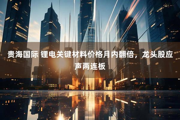 贵海国际 锂电关键材料价格月内翻倍，龙头股应声两连板