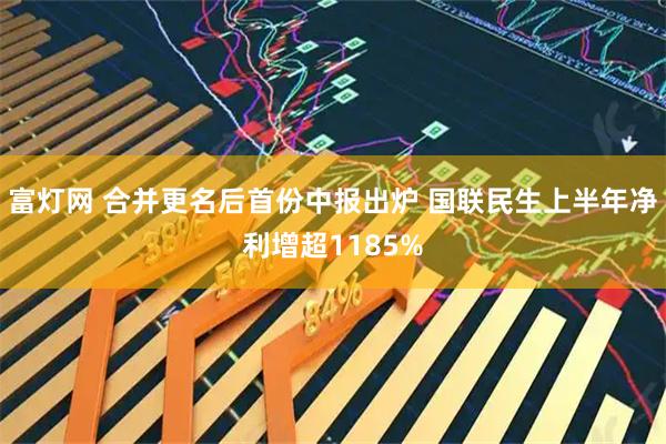 富灯网 合并更名后首份中报出炉 国联民生上半年净利增超1185%