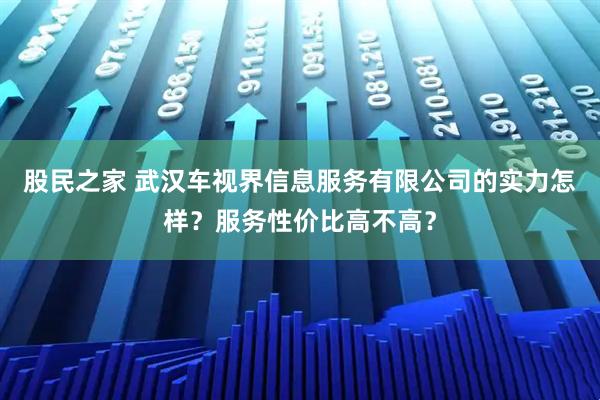 股民之家 武汉车视界信息服务有限公司的实力怎样？服务性价比高不高？