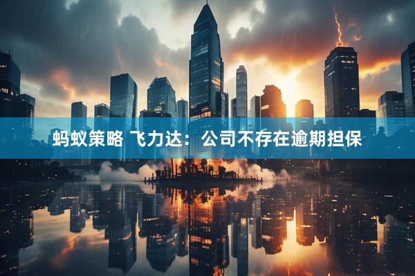 蚂蚁策略 飞力达：公司不存在逾期担保