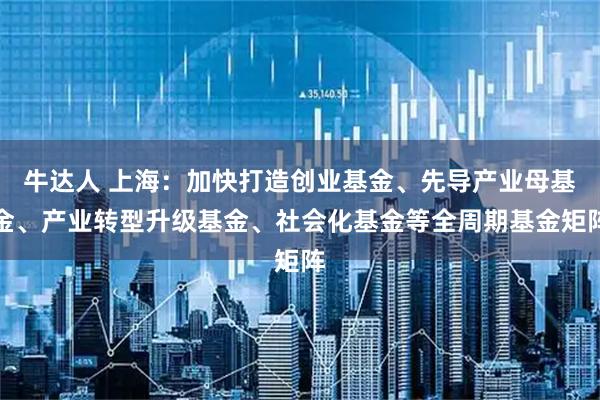 牛达人 上海：加快打造创业基金、先导产业母基金、产业转型升级基金、社会化基金等全周期基金矩阵