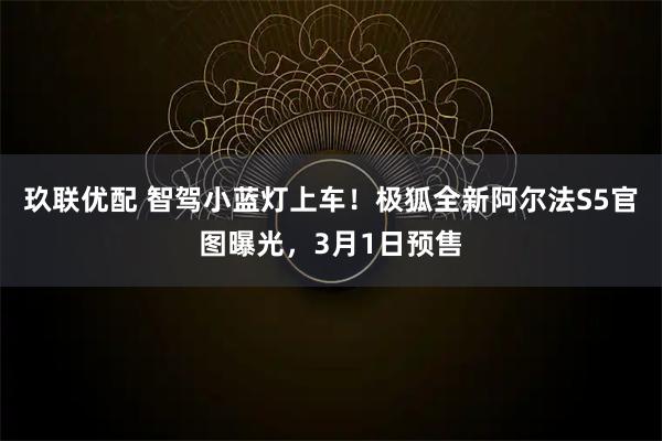 玖联优配 智驾小蓝灯上车！极狐全新阿尔法S5官图曝光，3月1日预售