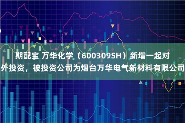 期配宝 万华化学（600309SH）新增一起对外投资，被投资公司为烟台万华电气新材料有限公司